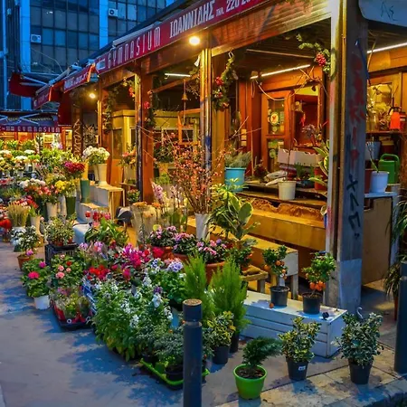 Nesting Ramblers Skg #3