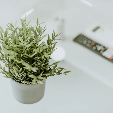 Apartment Nesting Ramblers Skg #3 *